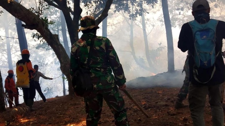 Puntung Rokok Diduga Pemicu Kebakaran di Gunung Halimun Salak Puntung Rokok Diduga Pemicu Kebakaran di Gunung Halimun Salak