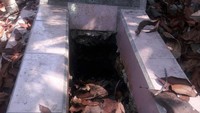 Nisan pada 27 makam itu tidak rusak. Cuma tanah saja yang digali hingga menutup nisan berbahan batu dan marmer. Kedalamanya galian diperkirakan 20-50 sentimeter. Pool/Polsek Cikatomas.