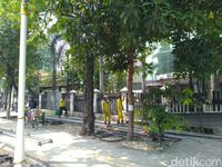 Pohon di Trotoar Kramat Bakal Ditebang, Warga Khawatir Makin Gersang