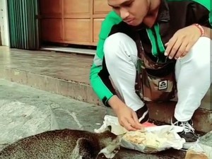 Makan Nasi Bungkus Bareng Kucing, Driver Ojol Ini Bikin Netizen Haru