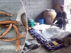 Ikut Tantangan dan Pola Makan Aneh, Orang-orang Ini Tewas Saat Makan