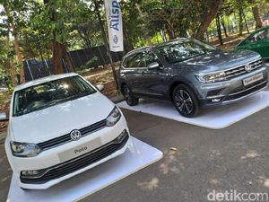 VW tak Punya Amunisi Baru Tahun 2020 di Indonesia