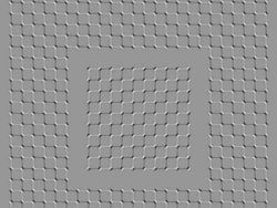 Kumpulan Ilusi Optik yang Menantang Mata dan Otak