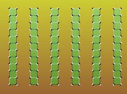 Kumpulan Ilusi Optik yang Menantang Mata dan Otak