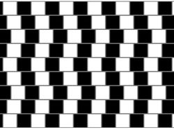 Kumpulan Ilusi Optik yang Menantang Mata dan Otak