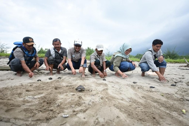Pelestarian Tuntong Laut Bangkitkan Pariwisata Aceh Tamiang Pelestarian Tuntong Laut Bangkitkan Pariwisata Aceh Tamiang