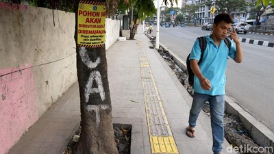 Tak Cuma Trotoar, Pohon di Ibu Kota Juga Akan Direvitalisasi