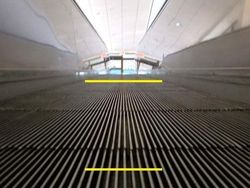 Kumpulan Ilusi Optik yang Menantang Mata dan Otak