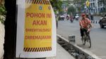Tak Cuma Trotoar, Pohon di Ibu Kota Juga Akan Direvitalisasi