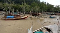PLN telah berhasil mengalirkan listrik ke sejumlah wilayah di perbatasan Indonesia dengan Malaysia dan Singapura. Salah satunya adalah Desa Pongkar yang berada di Kabupaten Karimun, Kepulauan Riau.