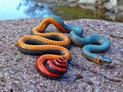 Bukan Editan, Foto Hewan Warna-warni Unik Ini Asli