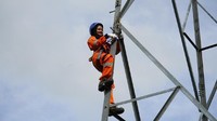 Perempuan dan gajah punya peran yang tak bisa dianggap remeh dalam menjaga agar pasokan listrik di kawasan Aceh selalu optimal. Istimewa/Dok. PLN.