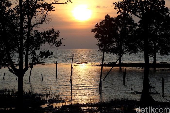 Momen matahari terbit menampilkan pemandangan alam yang memukau. Seperti yang terlihat di kawasan Coastal Area Karimun ini. Yuk, lihat.
