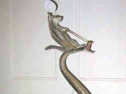 Meme Kocak Perbandingan Hasil Pencarian Google vs Bing