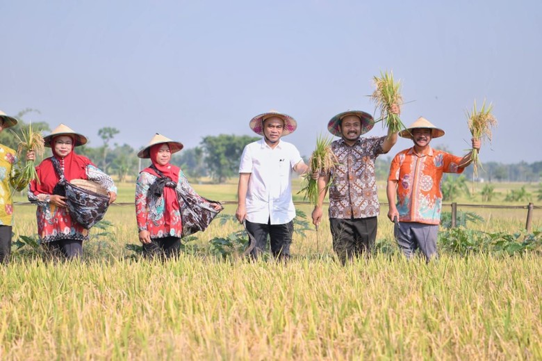 Di Ngawi, Wamendes PDTT Resmikan Wisata Sawah Merti Boemi Di Ngawi, Wamendes PDTT Resmikan Wisata Sawah Merti Boemi