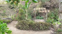Di dekat lokasi Coban Jahe 3, terdapat tempat penangkaran Rusa Tutul. (Muhammad Aminudin/detikcom)