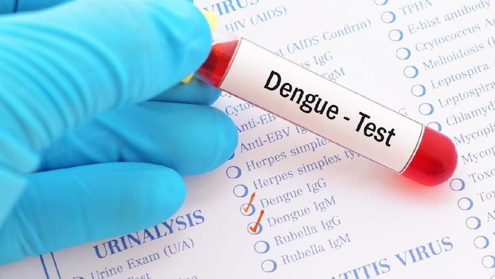 864376000 Blood sample with requisition form for dengue virus test