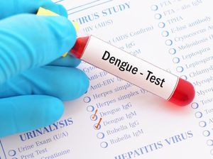 Enam Strategi Kemenkes Tekan Laju Kasus Dengue Nasional