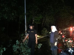 Saat Bupati Anna Tinjau Lokasi Terdampak Angin Kencang di Bojonegoro