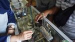 Foto: Suvenir-suvenir Paling Khas dari Karimun