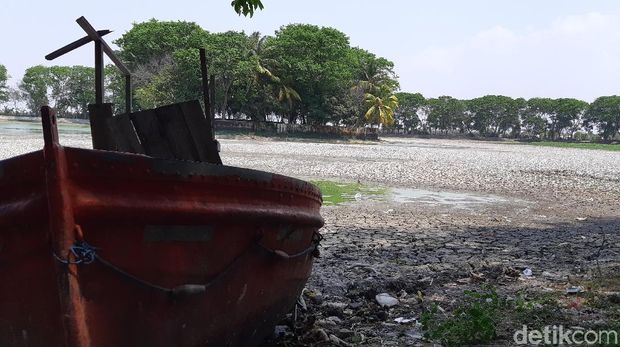 Situ Tasikardi di Serang Mengering (Bahtiar-detikcom)