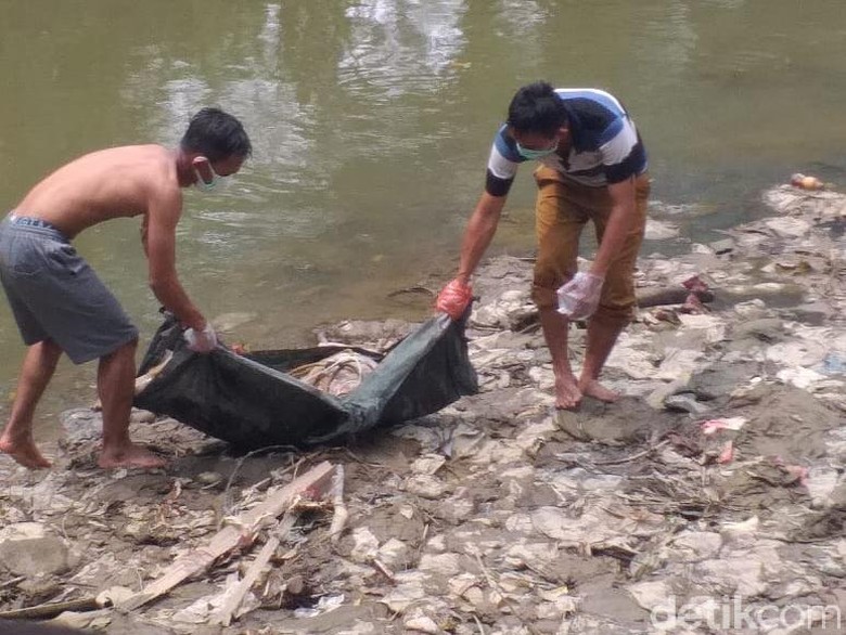 Pemkot Medan Bersihkan Bangkai Babi di Sungai Deli Pemkot Medan Bersihkan Bangkai Babi di Sungai Deli