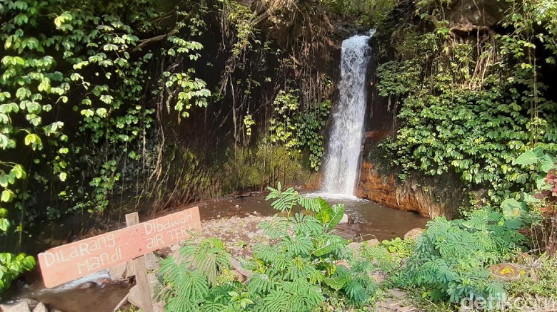 Coban Jahe Malang Coban Jahe Malang