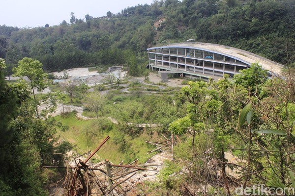 Suasana di lokasi eks wisata Kampung Gajah begitu hening. Hanya terdengar suara gesekan dedaunan yang tertiup angin dan rerumputan liar yang lebat (Yudha Maulana/detikcom)