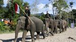 Di Aceh, Peringatan Hari Pahlawan Digelar Bersama Gajah