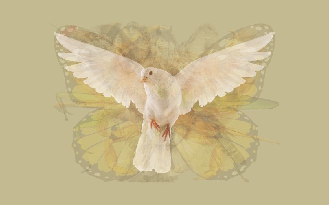 Merpati adalah simbol cinta yang abadi dan kedamaian. Burung berwarna putih ini juga salah satu makhluk paling indah. Apabila gambar merpati yang paling jelas kamu lihat, berarti karakter paling kuat dari dirimu adalah kebijaksanaan. Kamu punya pembawaan tenang, sabar, mengayomi dan cinta kedamaian. Foto: Dok. The Arctic Fox