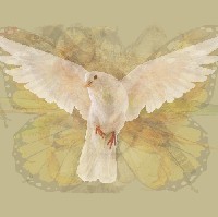 Merpati adalah simbol cinta yang abadi dan kedamaian. Burung berwarna putih ini juga salah satu makhluk paling indah. Apabila gambar merpati yang paling jelas kamu lihat, berarti karakter paling kuat dari dirimu adalah kebijaksanaan. Kamu punya pembawaan tenang, sabar, mengayomi dan cinta kedamaian. Foto: Dok. The Arctic Fox