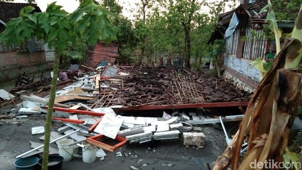 Angin Kencang Kembali Landa Bojonegoro, Robohkan Rumah dan Tumbangkan Pohon