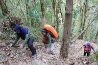 Cerita Nenek dari Pekalongan, Usia 66 Tahun Hobi Naik Gunung