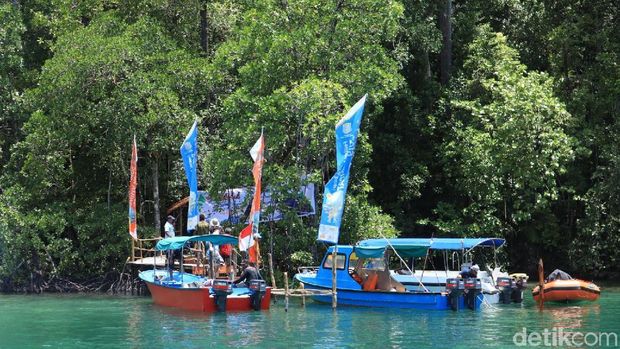 Segar Banget! Ada Kolam Alami Sejernih Ini di Raja Ampat