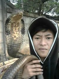 Penampakan Ular King Kobra yang Tewaskan Rendy di Depok