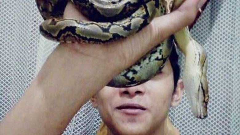 Polisi: King Kobra yang Tewaskan Rendy Dibawa Komunitas Pecinta Reptil Polisi: King Kobra yang Tewaskan Rendy Dibawa Komunitas Pecinta Reptil