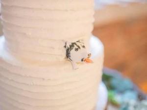 Pesan Kue Pengantin Tema Anjing, Wanita Ini Malah Dapat Kue Berhias Landak Mati