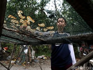 Berkah di Balik Bisnis Kerupuk di Perbatasan Indonesia-Singapura