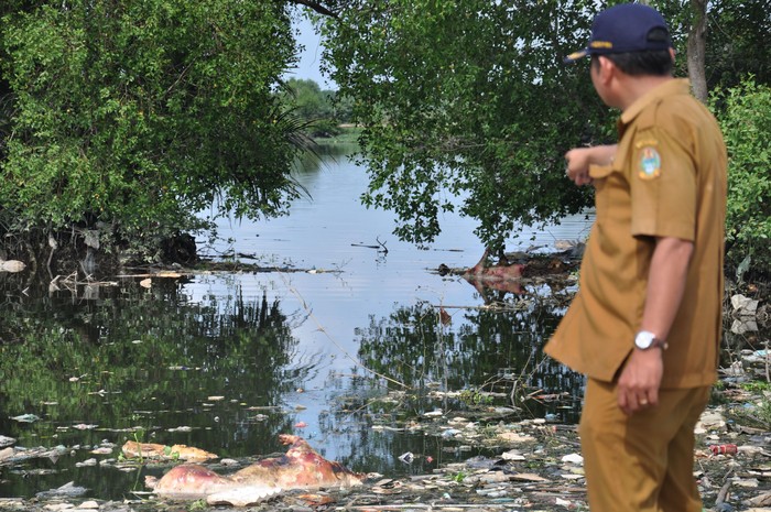 Petugas Dinas Ketahanan Pangan dan Peternakan Sumut mengamati bangkai babi yang dibuang pemiliknya di Danau Siombak Marelan, Medan, Sumatera Utara, Senin (11/11/2019). Data Dinas Ketahanan Pangan dan Peternakan Sumut mencatat sedikitnya ada 4.682 babi mati yang diduga akibat wabah virus Hog Kolera dan African Swine Fever atau demam babi Afrika di 11 kabupaten/kota di Sumut. ANTARA FOTO/Septianda Perdana/aww.