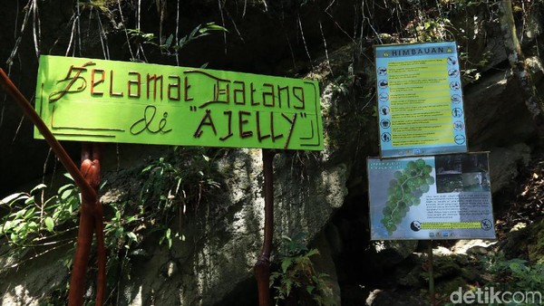 Dalam bahasa setempat, Ajelly atau Ajelle pun memiliki makna. Artinya air yang mengikuti aliran sebatas di daratan, tapi tidak sampai laut (Randy/detikcom) Dalam bahasa setempat, Ajelly atau Ajelle pun memiliki makna. Artinya air yang mengikuti aliran sebatas di daratan, tapi tidak sampai laut (Randy/detikcom)