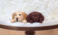 Pesan Kue Pengantin Tema Anjing, Wanita Ini Malah Dapat Kue Berhias 'Landak Mati'