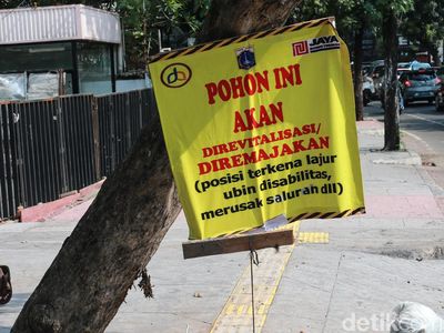 Duh, Pohon di Gunawarman Juga Bakal Ditebang