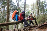 Cerita Nenek dari Pekalongan, Usia 66 Tahun Hobi Naik Gunung
