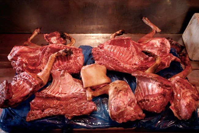Kisah Seram Budaya Makan Daging Anjing di Berbagai Negara