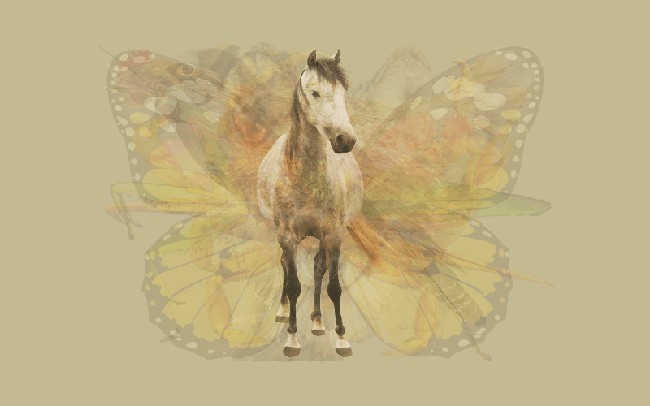 Jika kuda jantan yang paling jelas terlihat maka kamu termasuk orang ambisius. Fokus kamu dalam hidup adalah meraih kesuksesan bagaimanapun caranya. Dalam bekerja kamu selalu berusaha jadi yang terbaik dan diperhitungkan. Di sisi lain kepribadian kamu jujur dan lebih mementingkan aksi daripada bicara. Foto: Dok. The Arctic Fox