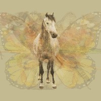 Jika kuda jantan yang paling jelas terlihat maka kamu termasuk orang ambisius. Fokus kamu dalam hidup adalah meraih kesuksesan bagaimanapun caranya. Dalam bekerja kamu selalu berusaha jadi yang terbaik dan diperhitungkan. Di sisi lain kepribadian kamu jujur dan lebih mementingkan aksi daripada bicara. Foto: Dok. The Arctic Fox