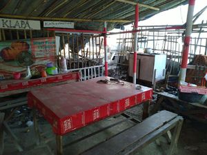 Tetangga Sebut King Kobra yang Tewaskan Rendy Baru Dibeli 3 Minggu Lalu