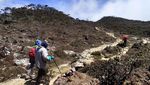 Foto: Nenek 66 Tahun dari Pekalongan yang Hobi Naik Gunung