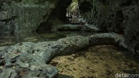 Setelah kapal ditambatkan, traveler pun harus trekking sekitar 200 meter melalui medan licin dan berbatu (Randy/detikcom)
