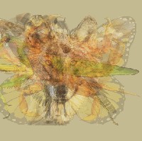 Seperti apa kepribadian kamu yang paling menonjol di antara sifat lainnya? Kamu bisa cari tahu dengan melihat ilustrasi abstrak ini. Gambar hewan yang paling jelas terlihat, akan ungkap sifat asli kamu. Siap-siap diperhatikan, ya! Foto: Dok. The Arctic Fox